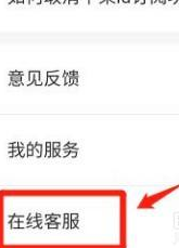 爱奇艺播放器怎么找在线客服 爱奇艺播放器找在线客服的方法