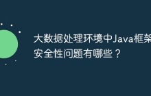 大数据处理环境中Java框架的安全性问题有哪些？