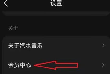 汽水音乐怎样开通汽水会员 汽水音乐开通汽水会员的方法