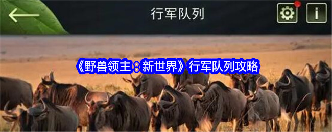 《野兽领主：新世界》行军队列攻略
