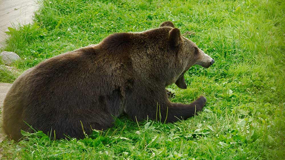 Börse heute: Versicherer ziehen sich zurück, Stromaktien steigen