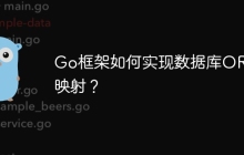 Go框架如何实现数据库ORM映射?