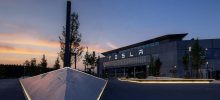 Tesla: Berlin factory has planted 1 million trees this year