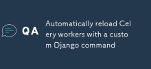 Laden Sie Celery-Worker automatisch mit einem benutzerdefinierten Django-Befehl neu