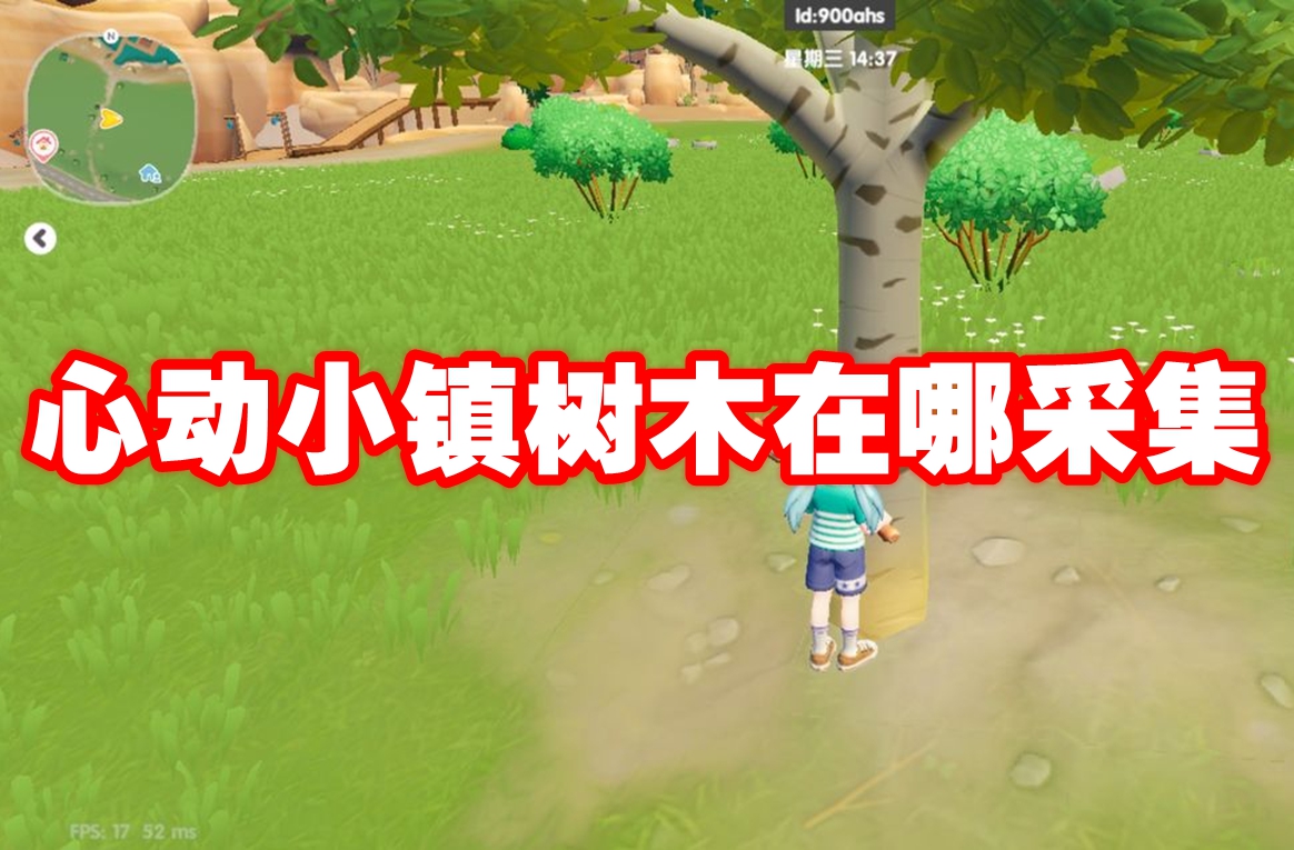 心动小镇树木在哪采集 心动小镇树木采集点位大全