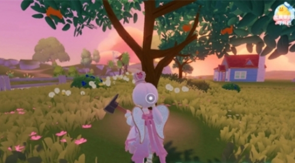 心动小镇树木在哪采集 心动小镇树木采集点位大全