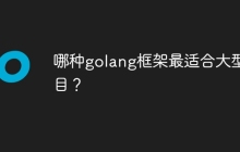 哪种golang框架最适合大型项目？