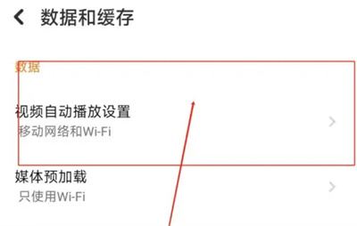 探探关视频自动播放方法步骤 探探怎么关视频自动播放