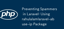 Preventing Spammers in Laravel: Using rahulalamlaravel-abuse-ip Package