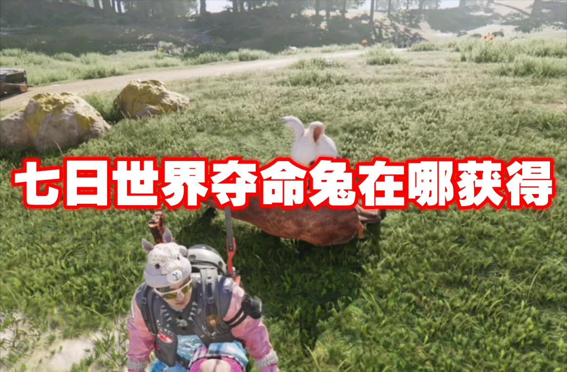 七日世界夺命兔在哪获得 七日世界夺命兔获得方法