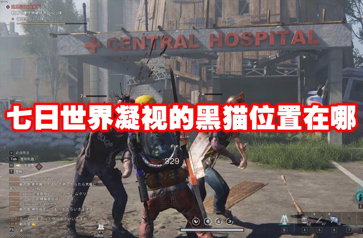 七日世界凝视的黑猫位置在哪 七日世界凝视的黑猫位置一览