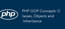PHP OOP Concepts: Classes, Objects and Inheritance