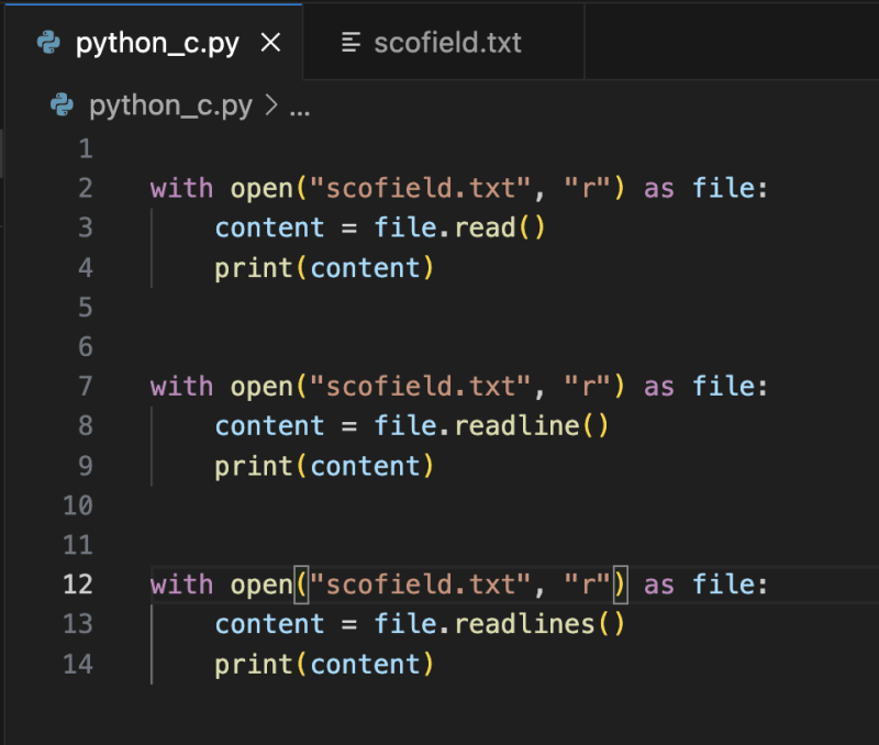 Python：从初学者到专业人士第 4 部分