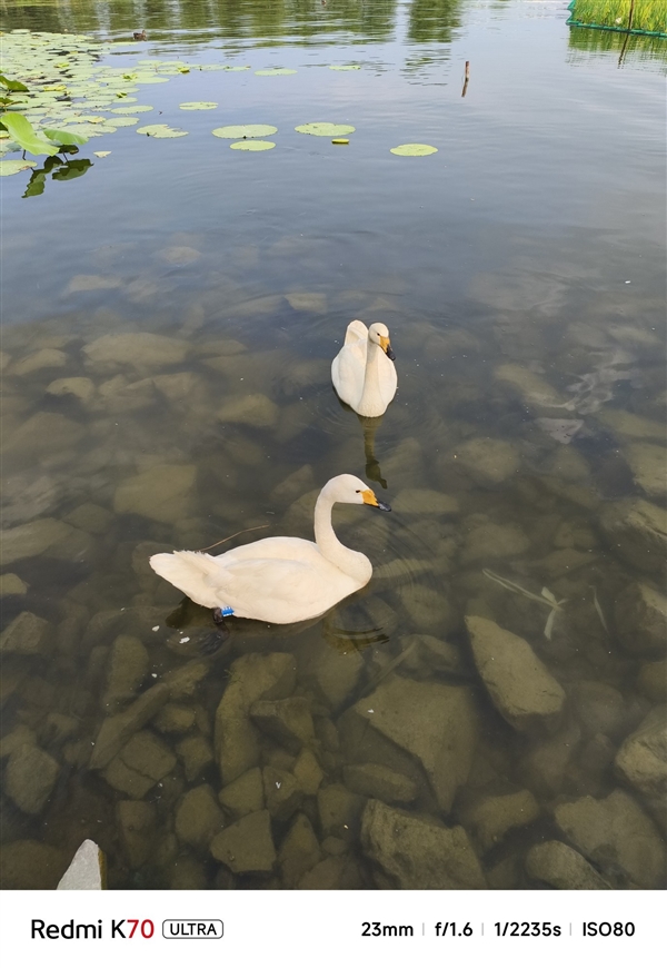 小米影像大模型赋能!Redmi K70至尊版拍照体验