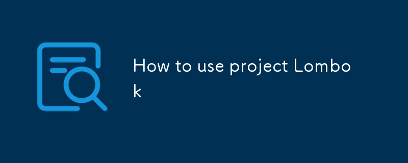 How to use project Lombok