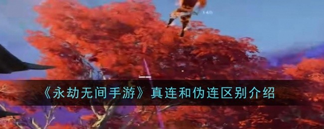 《永劫无间手游》真连和伪连区别介绍