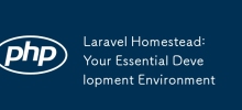 Laravel Homestead: Your Essential Development Environment