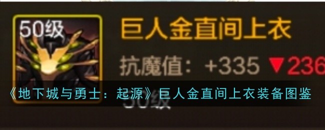 《地下城与勇士：起源》巨人金直间上衣装备图鉴