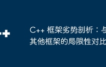 C++ 框架劣势剖析：与其他框架的局限性对比