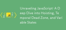 Unraveling JavaScript: A Deep Dive into Hoisting, Temporal Dead Zone, and Variable States