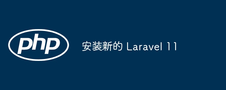 安装新的 laravel 11