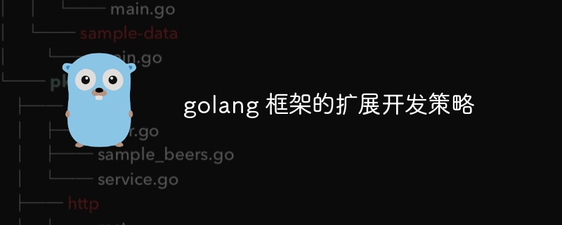 golang 框架的扩展开发策略