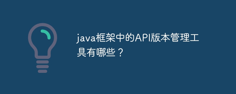 java框架中的API版本管理工具有哪些?