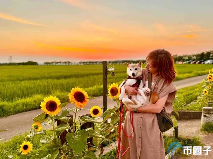 Solana再掀Meme热潮！新狗狗币Neiro引发加密货币内战