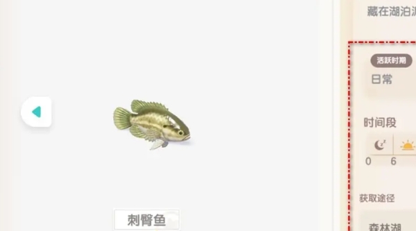 心动小镇刺臀鱼位置