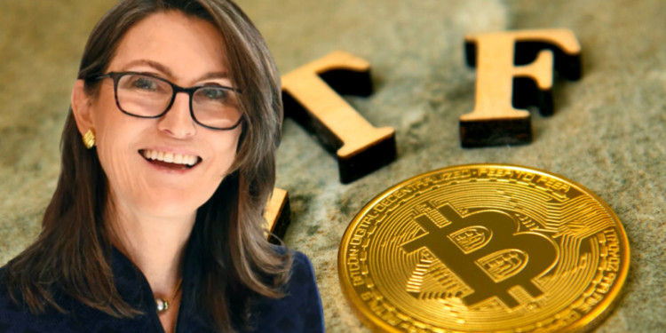 usdt怎么充钱步骤