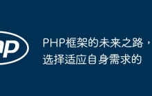 PHP框架的未来之路，选择适应自身需求的