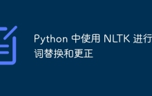 Python 中使用 NLTK 进行单词替换和更正