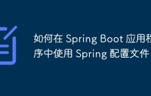 如何在 Spring Boot 应用程序中使用 Spring 配置文件