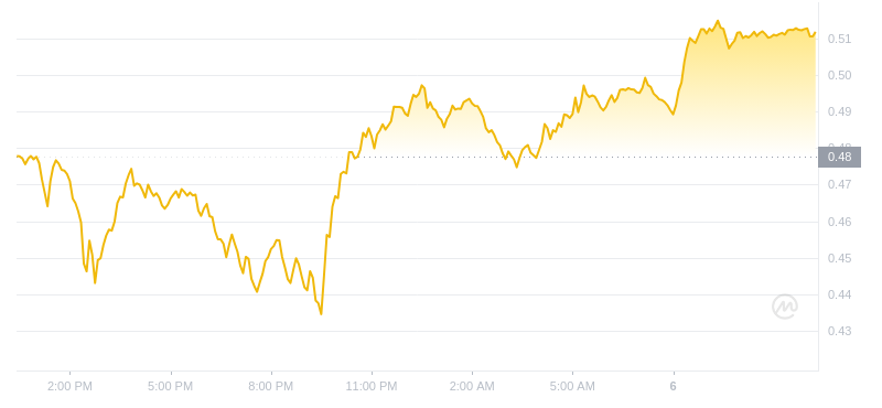 2024年08月06日瑞波币价格