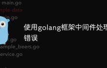 使用golang框架中间件处理错误