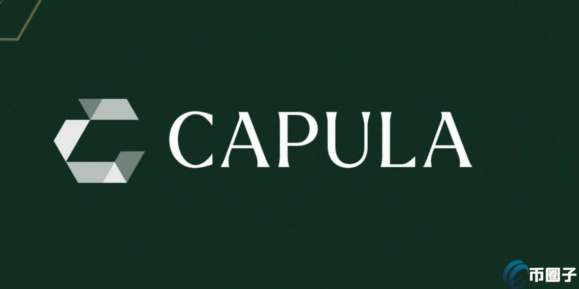 欧洲第4大避险基金Capula报告持有4.64亿美元比特币现货ETF