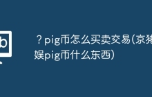 ？pig币怎么买卖交易(京猪游娱pig币什么东西)