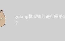 golang框架如何进行网络监控?