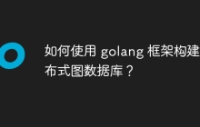 如何使用 golang 框架构建分布式图数据库?