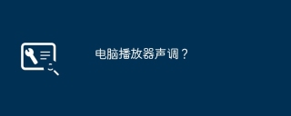 电脑播放器声调？