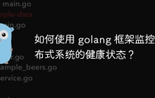 如何使用 golang 框架监控分布式系统的健康状态?