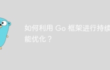 如何利用 Go 框架进行持续性能优化?