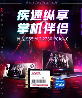 威刚 XPG 翼龙 S55 M.2 2230 固态硬盘上市，最高 2TB 定价 1529 元