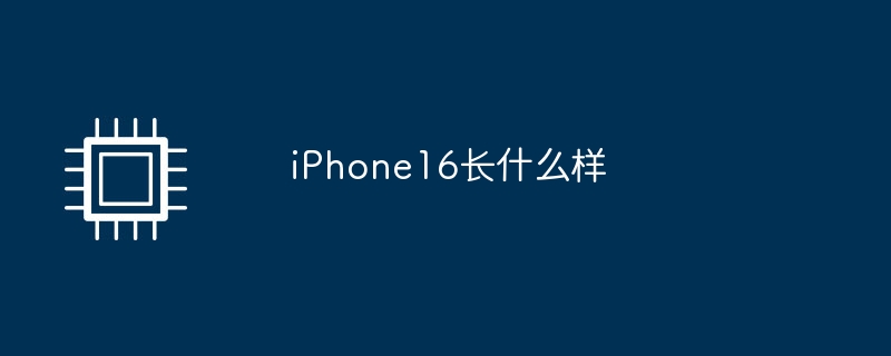 iphone16长什么样