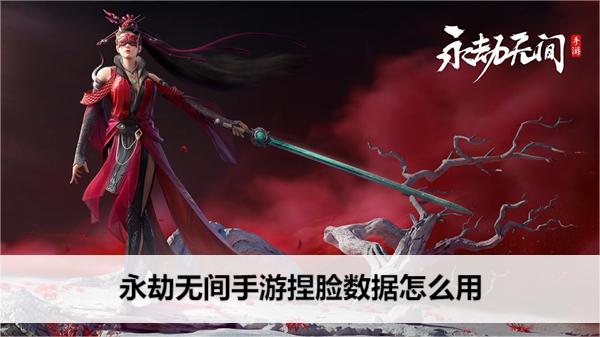 《永劫无间》手游捏脸数据怎么用