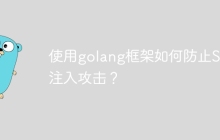 使用golang框架如何防止SQL注入攻击?