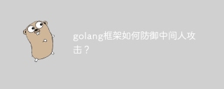 golang框架如何防御中间人攻击?