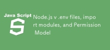 Node.js v .env 파일, 가져오기 모듈 및 권한 모델