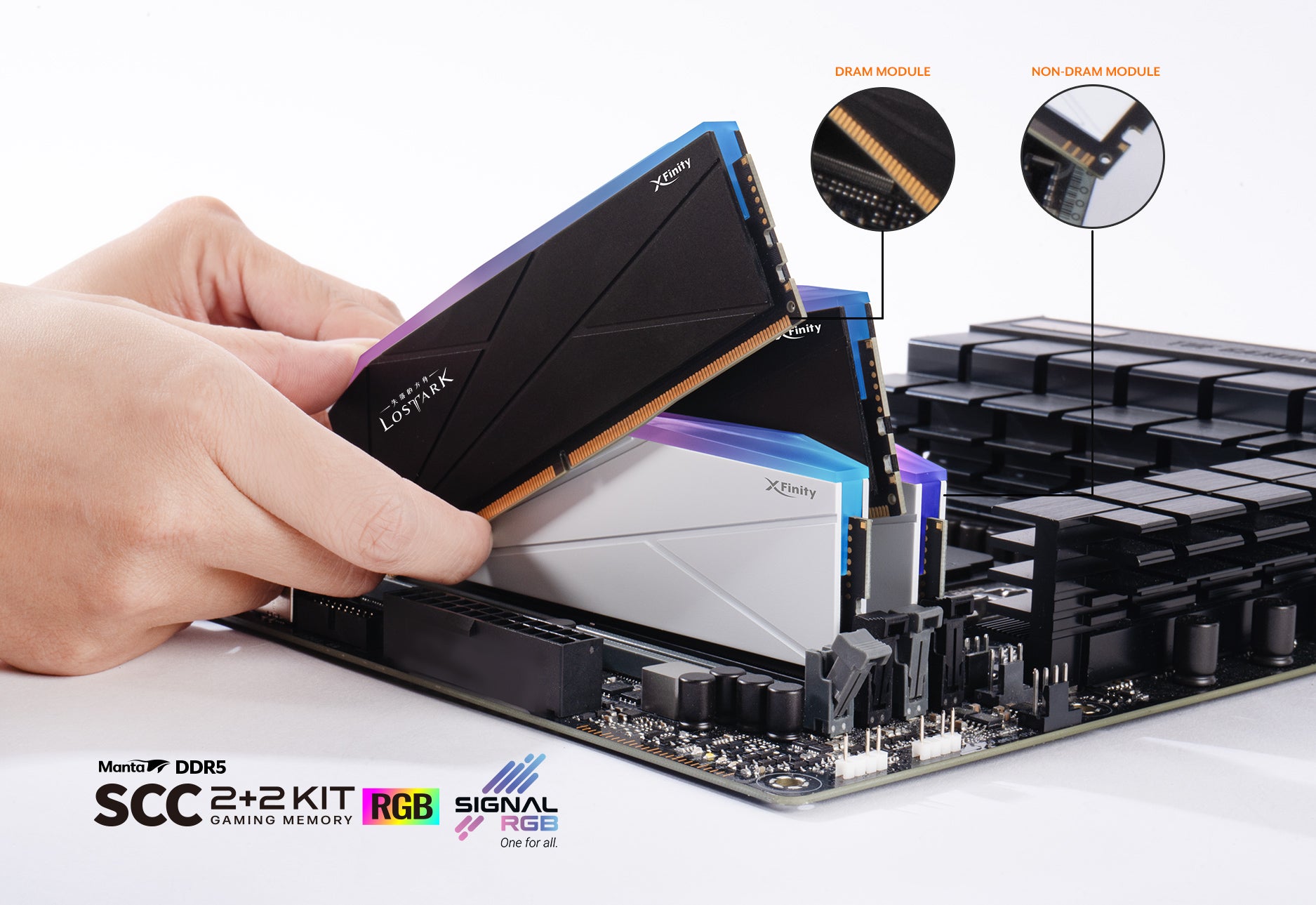全何推出 AMD EXPO 支持 2+2 内存套条：含双虚拟灯条，至高 DDR5-7200