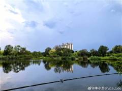 华为AI新功能来袭!竟仅限三款机型,Mate60缺席?